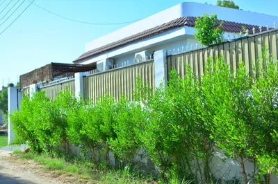 a fence in front of a house with bushes at Luxor Rose Villa in Luxor