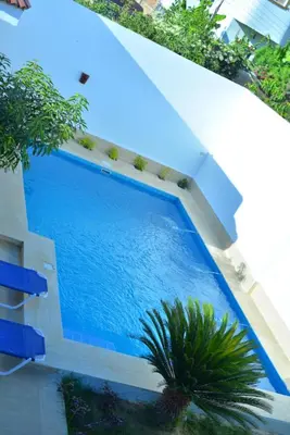 an overhead view of a blue swimming pool with a palm tree at Luxor Rose Villa in Luxor