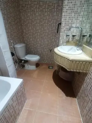 a bathroom with a sink and a toilet at New Saint Catherine Hotel in Luxor