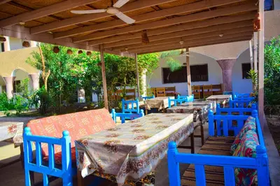 a patio with tables and blue chairs at Rose Guest House \u60a8\u5728\u76e7\u514b\u7d22\u7684\u7b2c\u4e8c\u500b\u5bb6 in Luxor