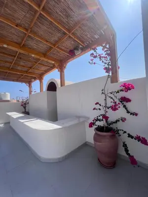 a plant in a pot sitting on a patio at Boho Homes in Hurghada