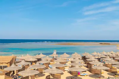 a group of umbrellas and chairs on a beach at Utopia Beach Club in Marsa Alam City