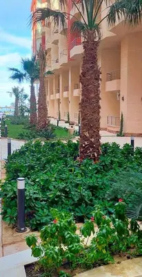 a building with a lot of green plants and a palm tree at Casablanca Beach Hurgada in Hurghada