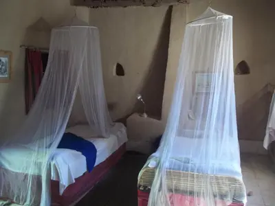 two beds with mosquito nets in a room at Nour El Gourna in Luxor