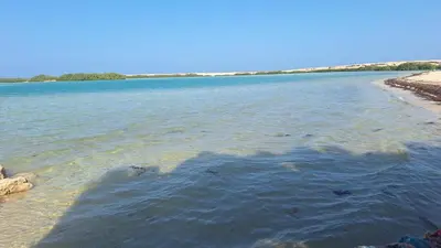 a large body of water with a group of animals in it at la vi -panorama sea in Hurghada