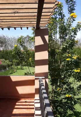 a view of a garden from the porch of a house at Апартаменты в Хургаде, Stella Makadi in Hurghada