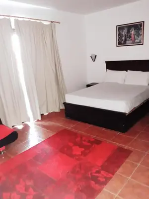 a bedroom with a bed and a red rug at Апартаменты в Хургаде, Stella Makadi in Hurghada