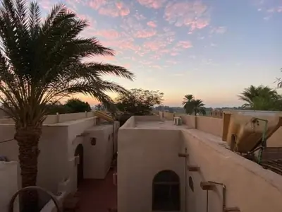 a view of a building with a palm tree at Nour El Balad in Luxor