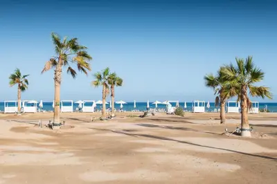a group of palm trees on a sandy beach at Dashing 2 BDR Mangroovy Free Pool & Beach Access in Hurghada