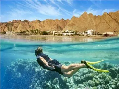 a person swimming in the water with a surfboard at sheraton blaza329 in Hurghada