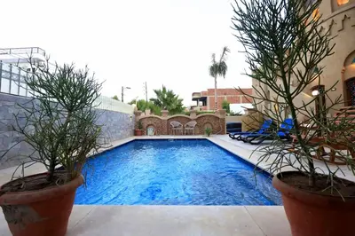 a swimming pool with two potted plants next to a building at Villa Nur in Luxor
