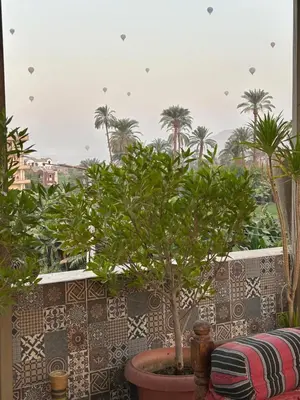 a tree in a pot on a balcony with palm trees at The Residence in Luxor