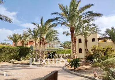 a palm tree in front of a building at Villa 4 Bed Rooms-North Golf-GN24 in Hurghada