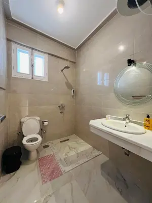a bathroom with a toilet and a sink and a mirror at Happiness Guest House in Luxor