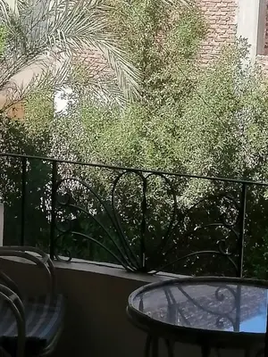 Gallery image of Winter Guest House \u60a8\u5728\u76e7\u514b\u7d22\u7684\u7b2c\u4e8c\u500b\u5bb6 in Luxor
