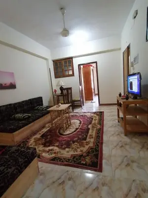 Gallery image of Winter Guest House \u60a8\u5728\u76e7\u514b\u7d22\u7684\u7b2c\u4e8c\u500b\u5bb6 in Luxor