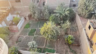an aerial view of a garden with trees and plants at Masa House Luxor in Luxor