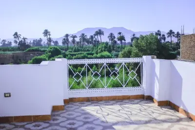 a white fence with palm trees in the background at Sunshine House in Luxor