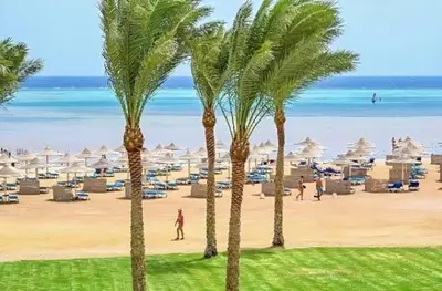 a group of palm trees on a beach with umbrellas at Snorkeling Paradise 5 Star Resort Stella Makadi in Hurghada