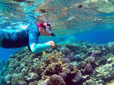 a person is swimming over a coral reef at Snorkeling Paradise 5 Star Resort Stella Makadi in Hurghada