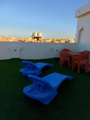 a group of blue airplanes sitting on the grass at Sunny sea in Quseir