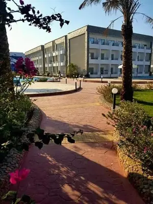 a large building with a palm tree and a brick sidewalk at سيسيليا اتش in Hurghada