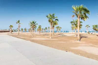 a sandy beach with palm trees and the ocean at Modern & Mellow 1 BDR Mangroovy Free Beach & Pool Access in Hurghada