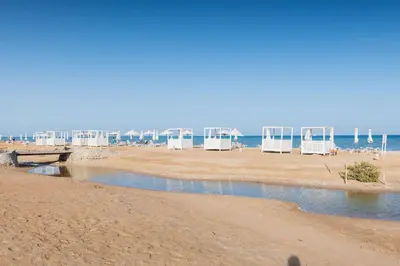 a beach with white chairs and the ocean at Dazzling 2 BDR w Rooftop Mangroovy Free Pool & Beach Access in Hurghada