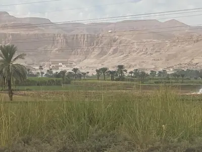 a field with palm trees in front of a mountain at Hadi Guest House in Luxor