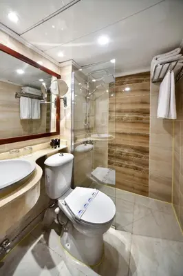a bathroom with a toilet and a shower and a sink at Nile Treasure Cruise - 4 or 7 Nights From Luxor each Saturday and 3 or 7 Nights From Aswan each Wednesday in Luxor