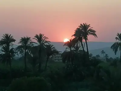 a sunset over a field with palm trees at Luxor Nile palace in Luxor