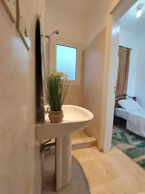 a bathroom with a sink with a potted plant on it at Unique 6 Bedrooms Villa 38 at White Villas El-Gouna in Hurghada