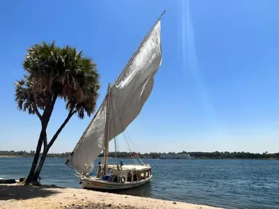 a sail boat on the water next to a palm tree at Abo Tamem Guest House in Aswan