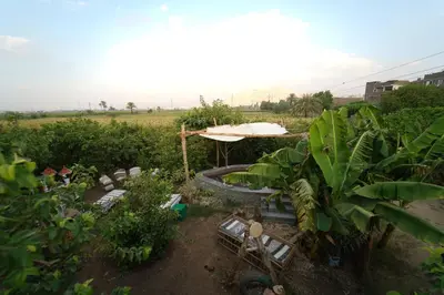 a garden with a fountain and plants in a field at Bedouin Lodge Luxor in Luxor