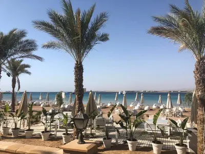 a beach with palm trees and chairs and the ocean at Penthouse in Hurghada