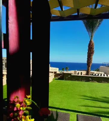 a view of the ocean from a room with a palm tree at Apartment Azzura Sahl Hasheesh with private garden in Hurghada