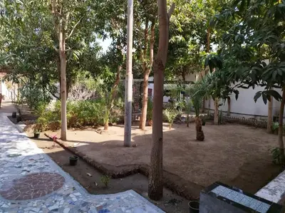a group of trees in a courtyard with a building at Gabawy Garden Doppelzimmer in Luxor