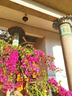 a bunch of flowers hanging off the side of a building at Gabawy Garden Doppelzimmer in Luxor