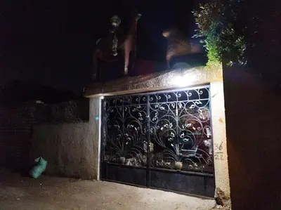 a black gate with a horse on top of it at night at Gabawy Garden Doppelzimmer in Luxor