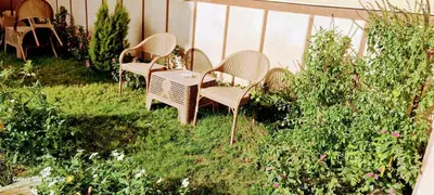 a group of chairs and a table in a garden at Moon fourteen2 in Luxor
